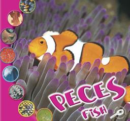 Los Peces (Fish)