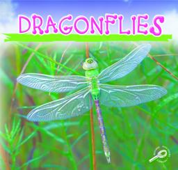 Dragonflies