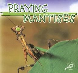 Praying Mantises