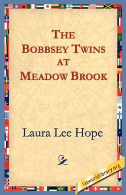 The Bobbsey Twins at Meadow Brook