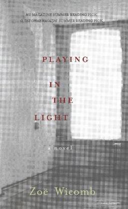 Playing in the Light A Novel  9781595582218 Front Cover