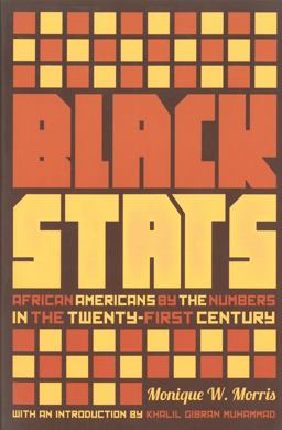 Black Stats African Americans by the Numbers in the Twenty-First Century  9781595589194 Front Cover
