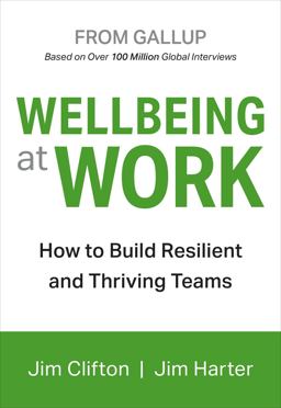 Wellbeing at Work How to Build Resilient and Thriving Teams  9781595622419 Front Cover
