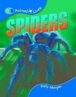 Spiders