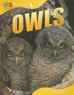 Owls