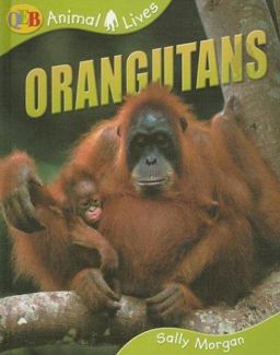 Orangutans