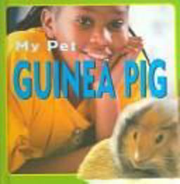 Guinea Pig