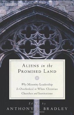 Aliens in the Promised Land: Why Minority Leadership Is Overlooked in White Christian Churches and Institutions  9781596382343 Front Cover