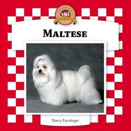 Maltese Maltese