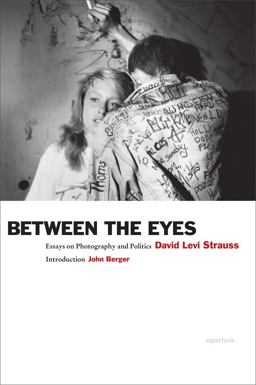 David Levi Strauss: Between the Eyes