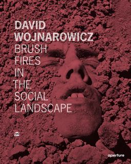 Brush Fires in the Social Landscape:  9781597112949 Front Cover