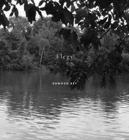 Dawoud Bey: Elegy Dawoud Bey: Elegy