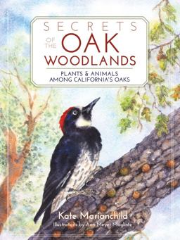 Secrets of the Oak Woodlands: Plants and Animals Among California's Oaks  9781597142625 Front Cover