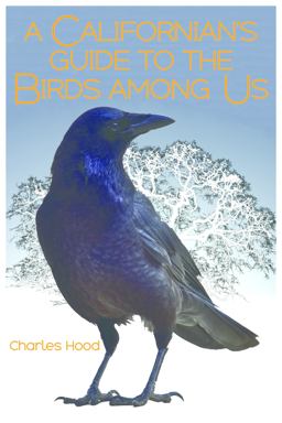 A Californian's Guide to the Birds among Us