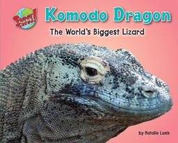 Komodo Dragon