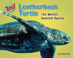 Leatherback Turtle