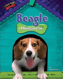 Beagle Beagle