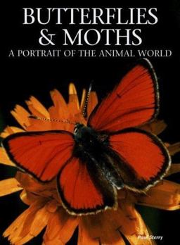 Butterflies and Moths