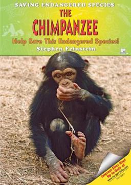 The Chimpanzee