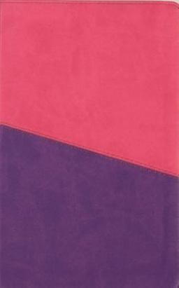 Kjv Kids Study Bible