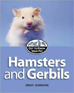 Hamsters and Gerbils