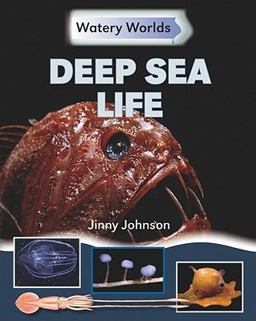 Deep Sea Life