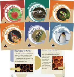 Life Cycles Life Cycles