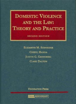 Domestic Violence and the Law Theory and Practice 2nd 9781599410289 Front Cover