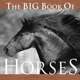 Big Book of Horses  9781599620138 Front Cover