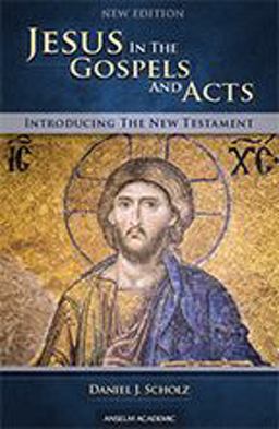 Jesus in the Gospels and Acts New Edition-Introducing the New Testament  9781599824765 Front Cover