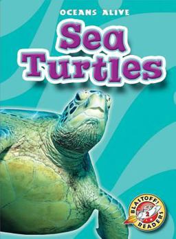 Sea Turtles