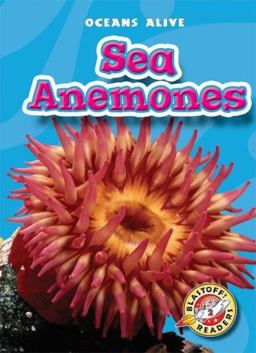 Sea Anemones