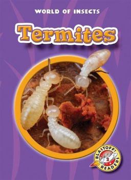 Termites