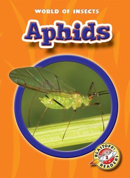 Aphids