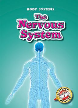 The Nervous System