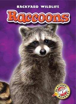 Raccoons Raccoons