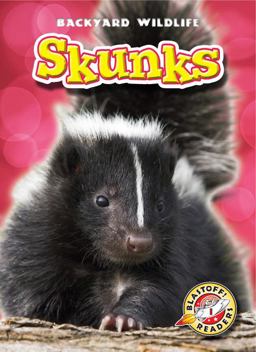 Skunks Skunks