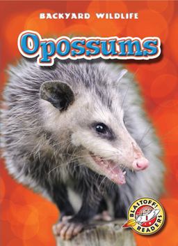 Opossums Opossums