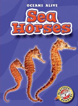 Sea Horses