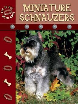 Miniature Schnauzers Miniature Schnauzers