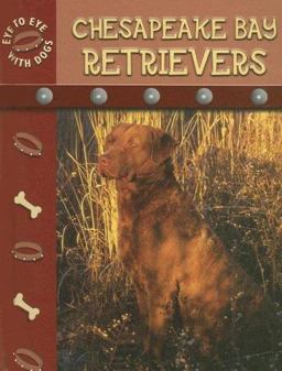 Chesapeake Bay Retriever Chesapeake Bay Retriever