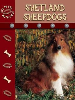 Shetland Sheepdogs Shetland Sheepdogs