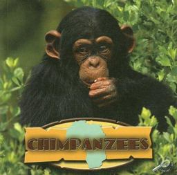 Chimpanzees