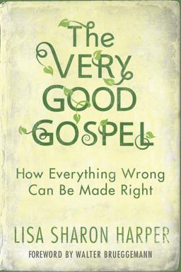 Very Good Gospel How Everything Wrong Can Be Made Right  9781601428578 Front Cover