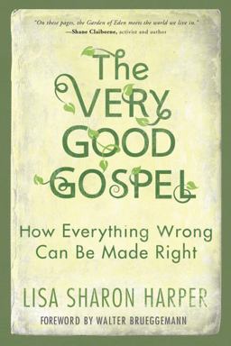 Very Good Gospel How Everything Wrong Can Be Made Right  9781601428585 Front Cover