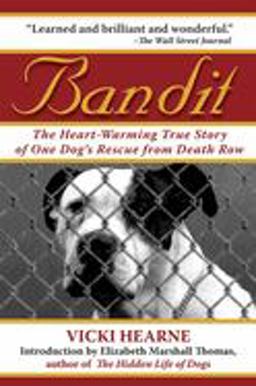 Bandit The Heart-Warming True Story of One Dog's Rescue from Death Row  9781602390706 Front Cover