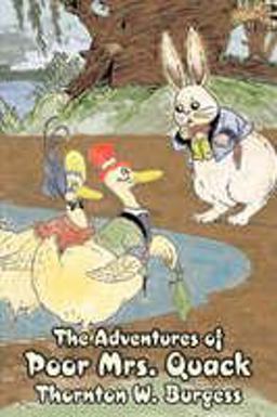 The Adventures of Poor Mrs Quack
