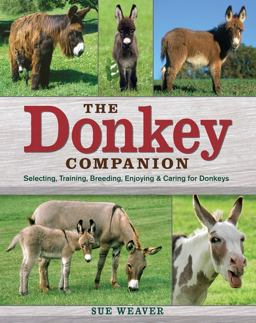 Donkey Companion Selecting, Training, Breeding, Enjoying and Caring for Donkeys  9781603420389 Front Cover