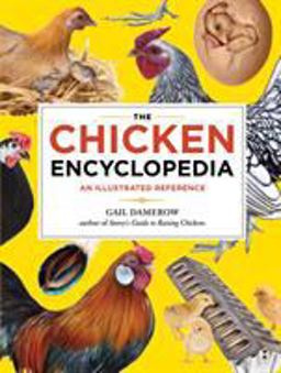 Chicken Encyclopedia An Illustrated Reference  9781603425612 Front Cover