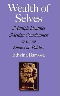 Wealth of Selves Multiple Identities, Mestiza Consciousness, and the Subject of Politics  9781603440691 Front Cover